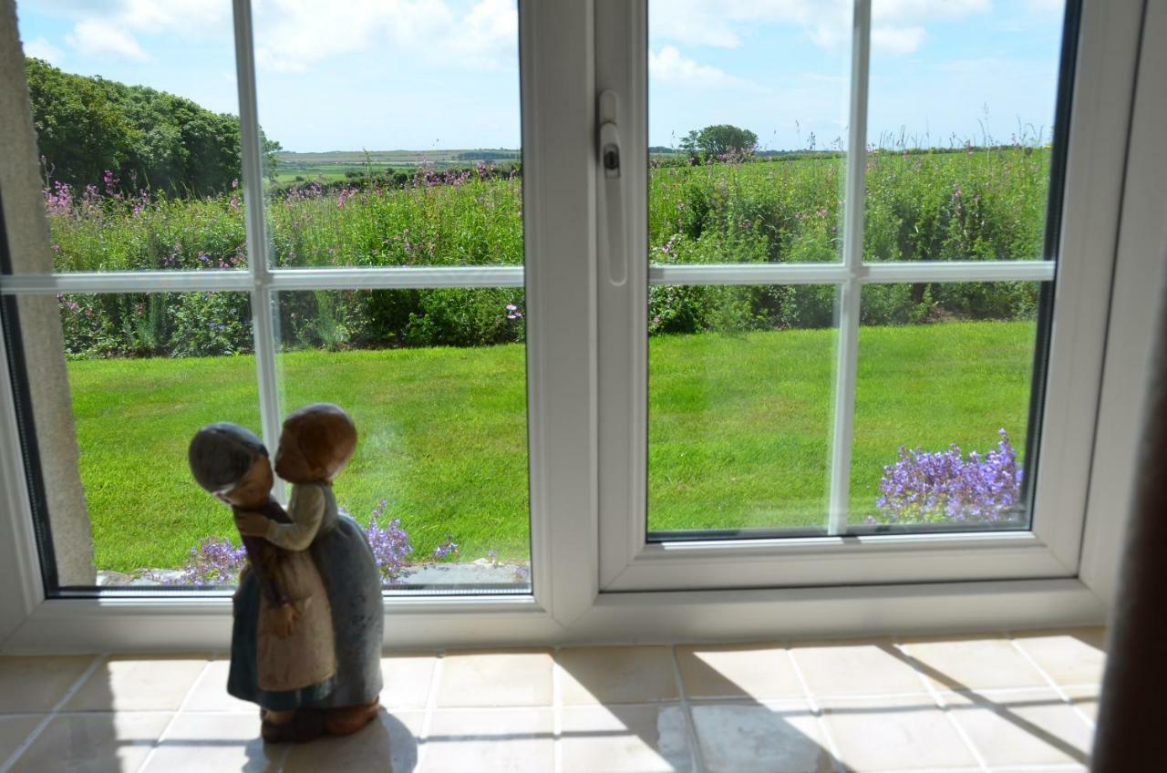 Snowdrop Cottage @ Ty-Llwyd Treffynnon Exteriér fotografie